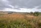 Building Plot at Netherwells, Jedburgh, TD8 6QU