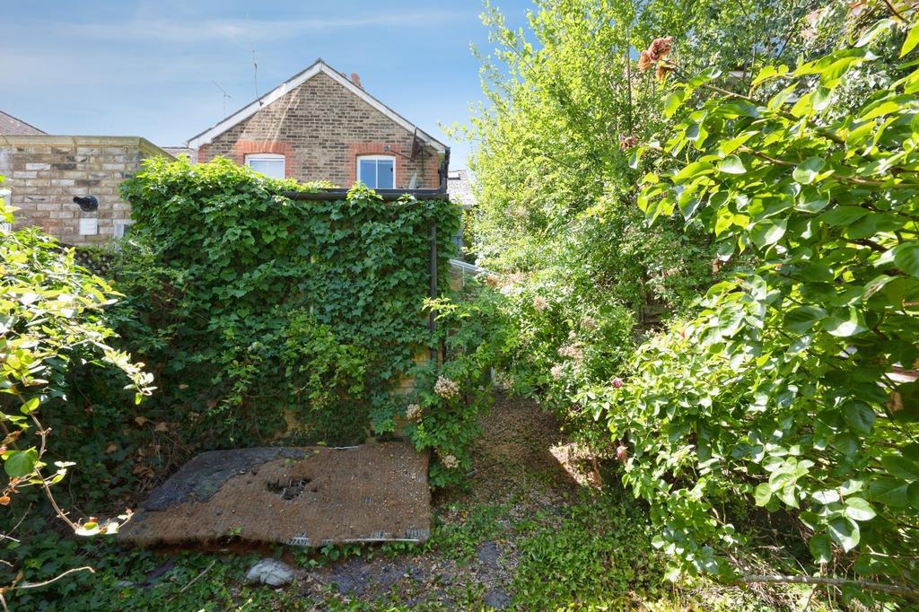 Garden view, garden