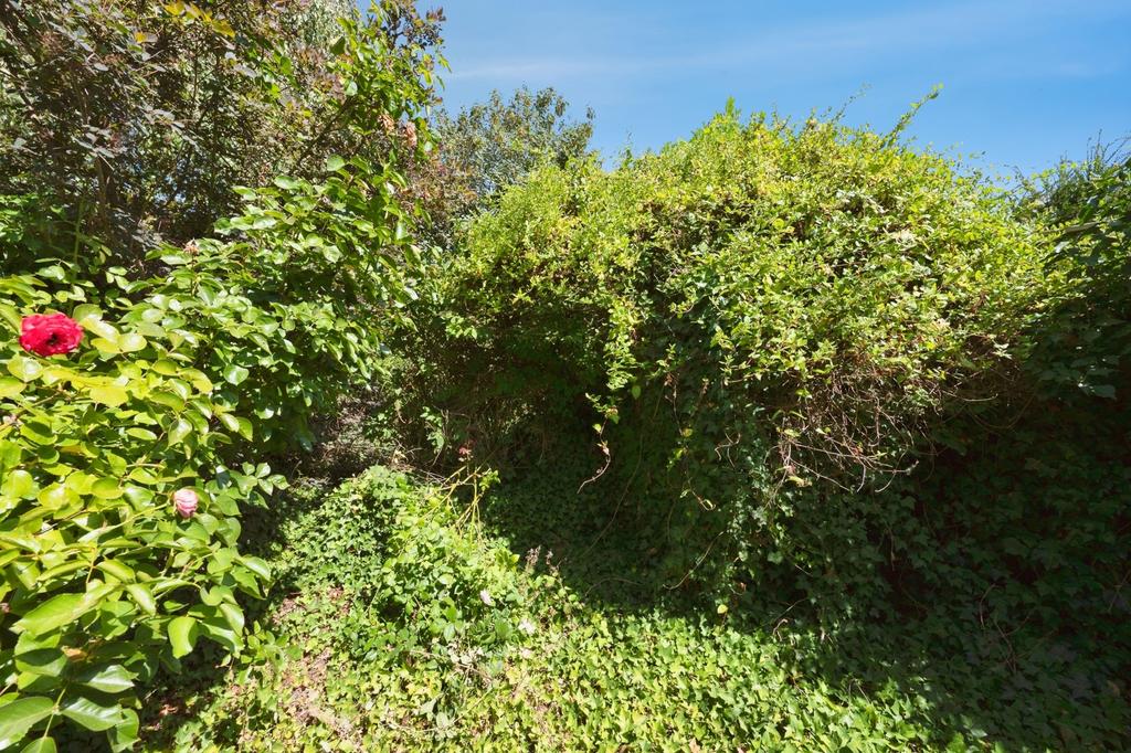 Garden view, garden
