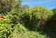 Anyards Road, Cobham, Surrey, KT11 photo 4
