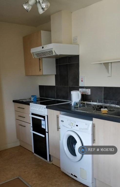 Apartment in Reading, Spring Gardens, Coley - View 4