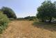 Oborne Road Sherborne photo 3