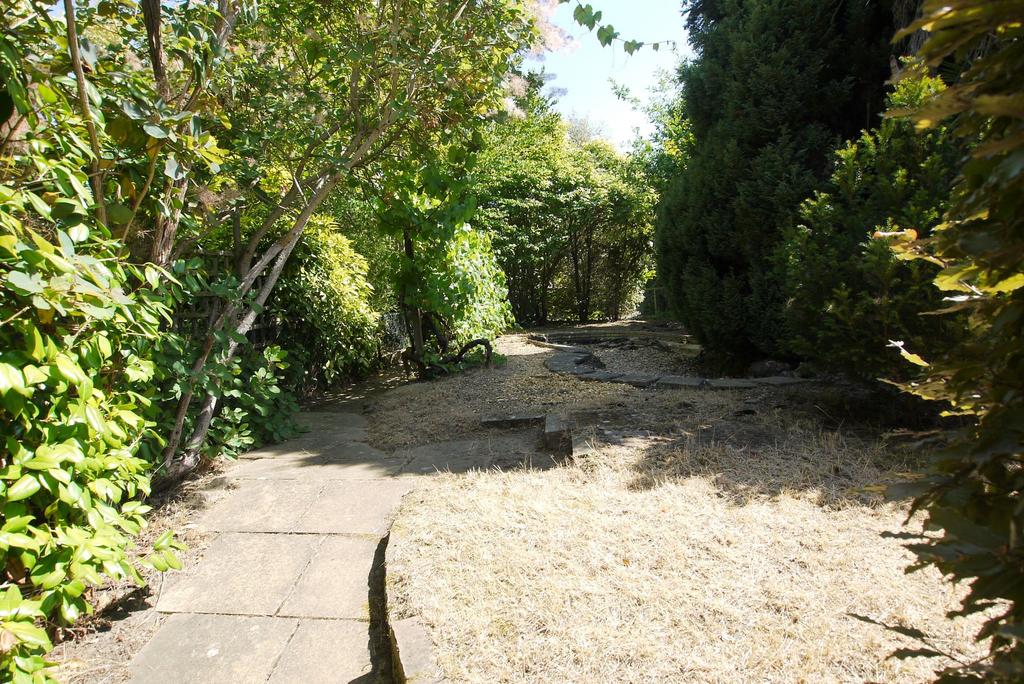 Photograph 10