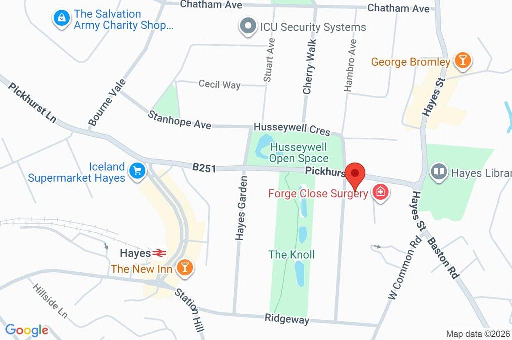 Google Maps Image