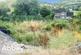 Land South East of 5 Bryn Golwg, Clyne, Neath, SA11 4EH