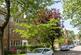 Tudor Close, Belsize Park, London, NW3