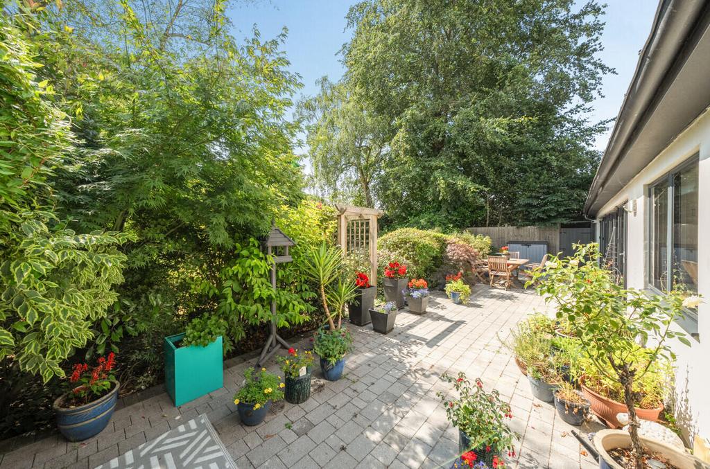 Terrace / Patio