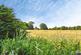 Park View, Chirton, Devizes photo 3