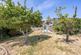 Heston Avenue, Patcham, Brighton photo 3