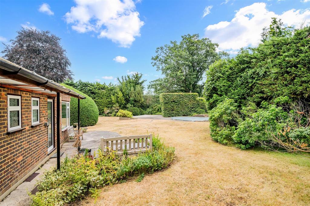 Garden view, garden