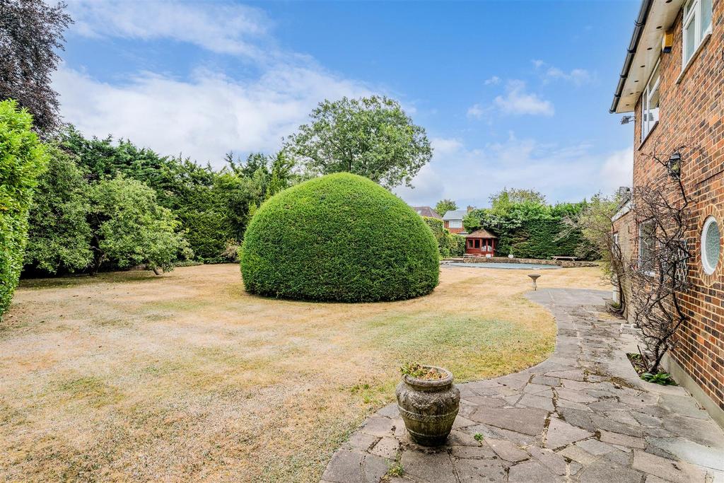 Garden view, garden