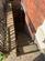 Garstang Road, Preston PR1 photo 5