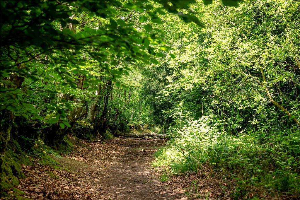 Sidmouth Woods Lot 1, Sidmouth, Devon - View 3