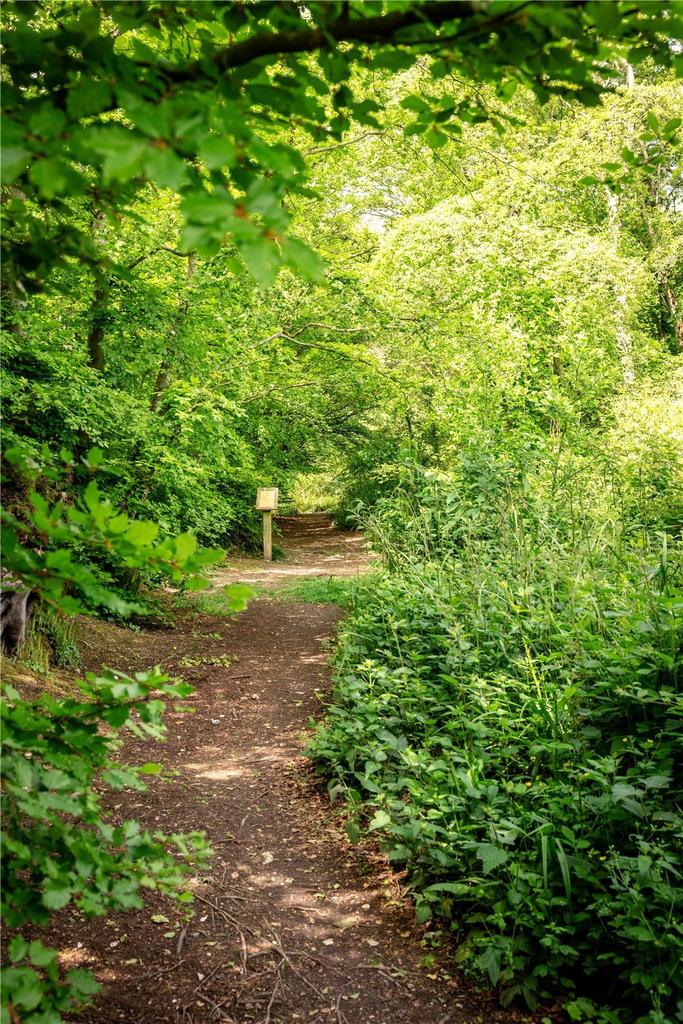 Sidmouth Woods Lot 1, Sidmouth, Devon - View 5