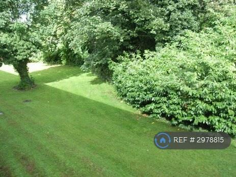 Apartment in Reading - View 2