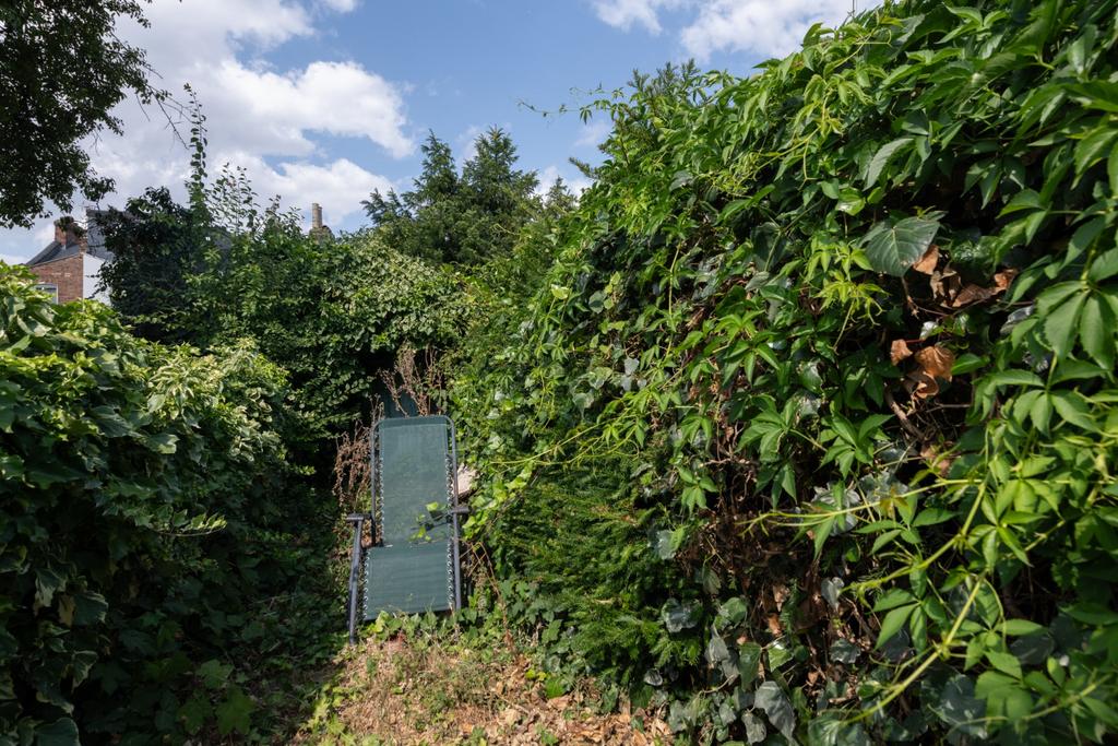 Garden view, garden