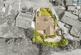 Windmill Close, Crewe CW3 photo 2