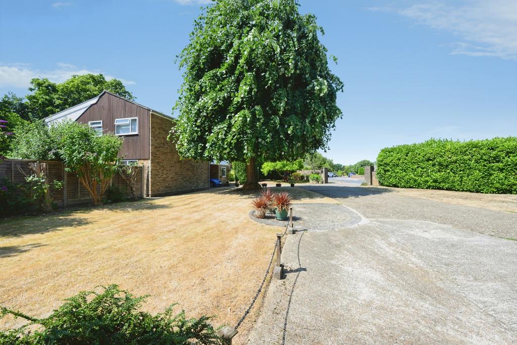 Driveway view, driveway