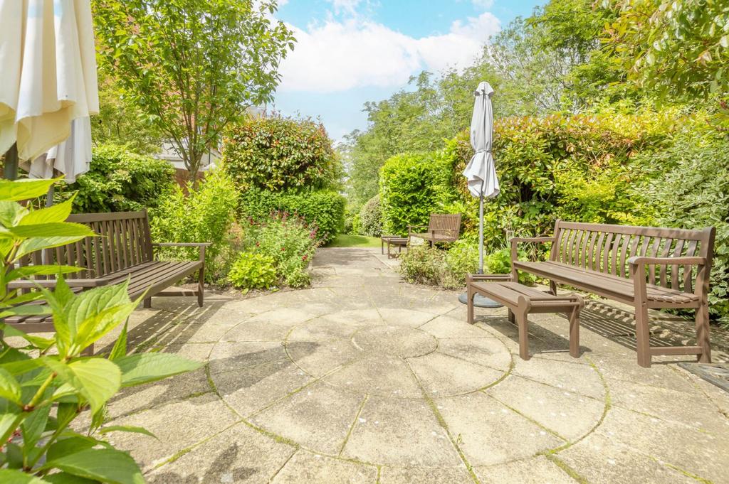 Patio view, garden