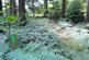 Coed y Telyn, Brecon, Powys LD3 photo 2