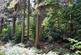 Coed y Telyn, Brecon, Powys LD3 photo 3