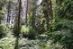 Coed y Telyn, Brecon, Powys LD3 photo 4