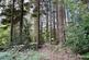Coed y Telyn, Brecon, Powys LD3 photo 5
