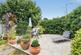 Upper Olland Street, Bungay photo 5