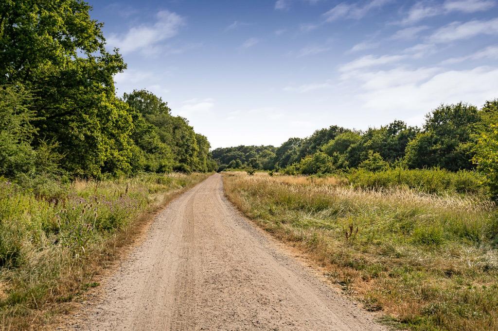 Driveway view