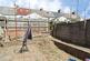 Hewell Street, Penarth photo 3