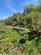 Udimore Road, Broad Oak, Rye photo 4