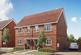 Plot 42, The Broomfield at The Maples, CM77, Mulberry Avenue CM77