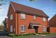 The Bluebell at Elmfield Green, Duckmoor Copse, Wooddale Lane RH14