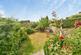 Fron Crescent, Llanfairfechan, Conwy, LL33 photo 5