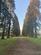 Talfourd Way, Redhill RH1