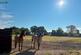 Uffington, Faringdon, SN7 photo 2