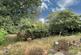 Chapel Road, Tiptree, Colchester photo 2