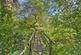 Constantine, Ponjeravah, Secluded position within 1.5 acres photo 3