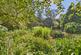 Constantine, Ponjeravah, Secluded position within 1.5 acres photo 4