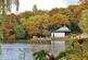 Willenhall WV12 photo 4