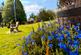 Gartmore Stirling photo 3