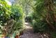 Catharine Street, Cambridge CB1 photo 4