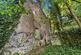 Priesty Fields, Congleton photo 4