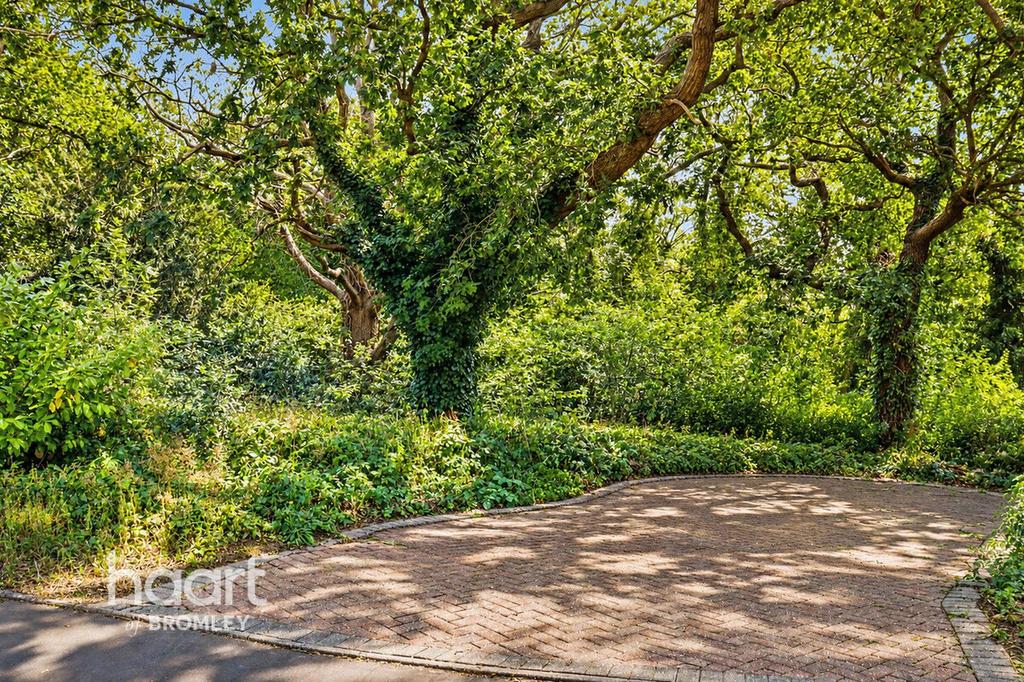 Driveway view, driveway
