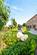 Carthorpe, Bedale, North Yorkshire photo 5