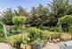 Brunel Close, Romford photo 4