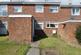 Briardale, Bedlington photo 5