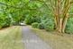 Hillside Close, Banstead, Surrey photo 4