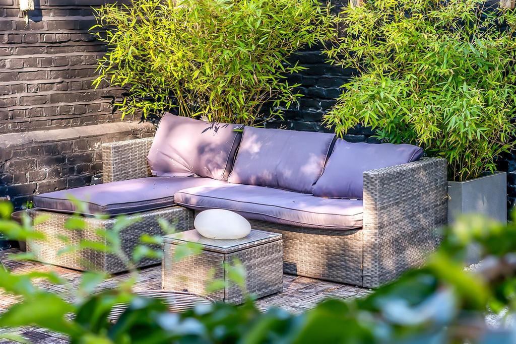 Garden view, garden