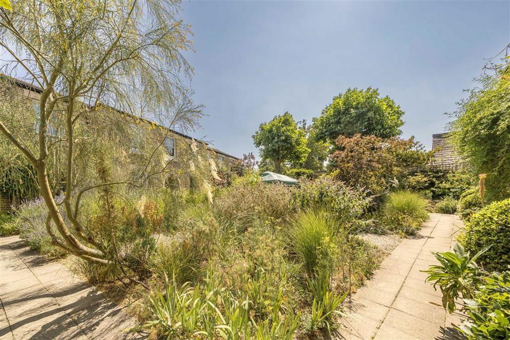 Garden view, garden